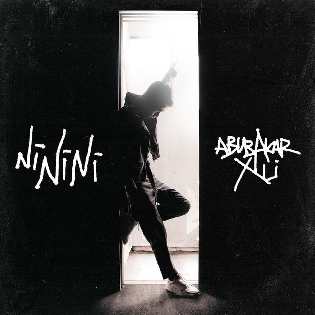 Album cover art for NiNiNi