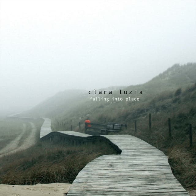Album cover art for Falling Into Place