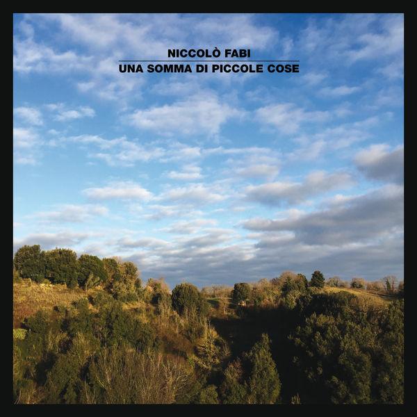 Album cover art for Una Somma di Piccole Cose