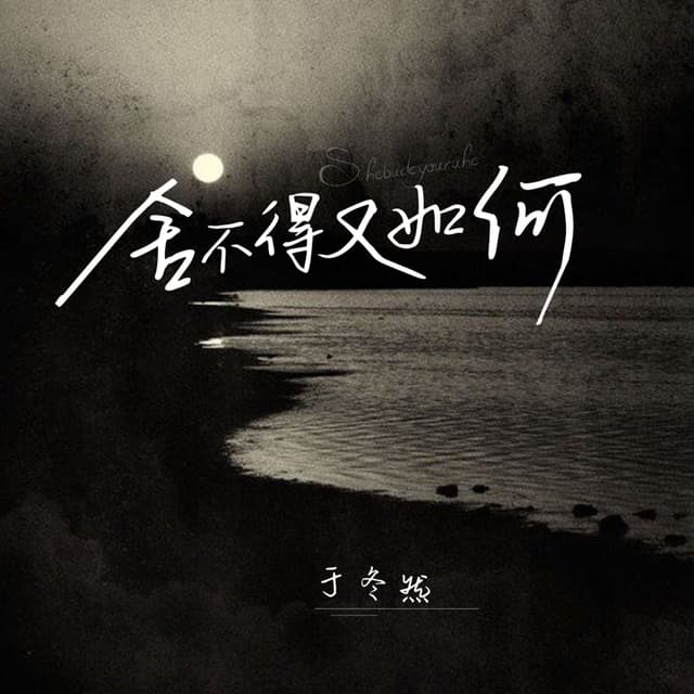 Album cover art for 舍不得又如何