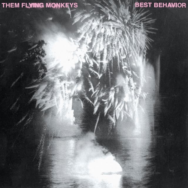 Album cover art for Best Behavior