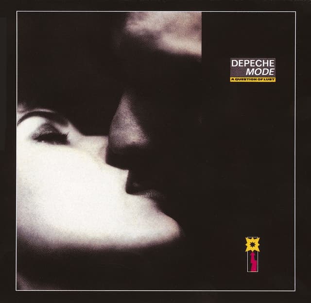 Album cover art for A Question of Lust