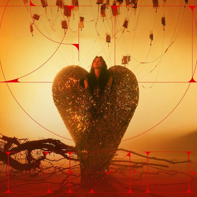 Album cover art for WW