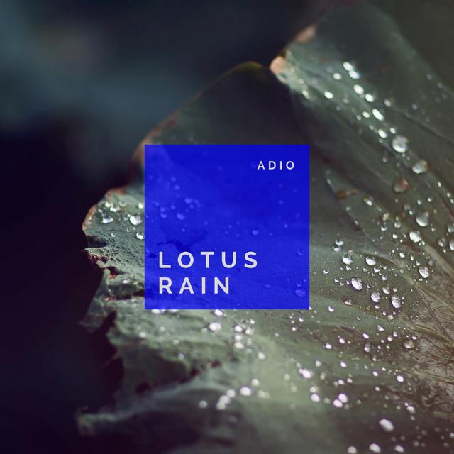 Album cover art for Lotus Rain - Single