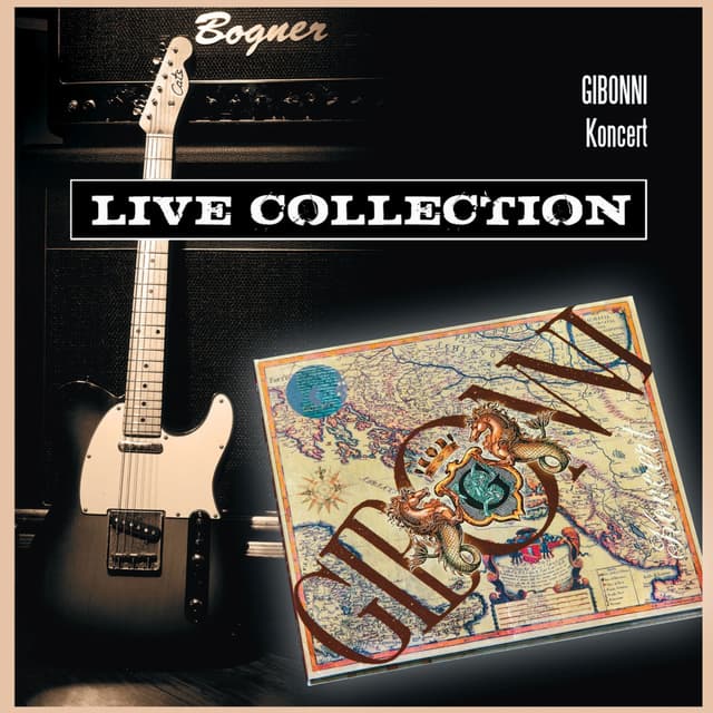 Album cover art for Koncert