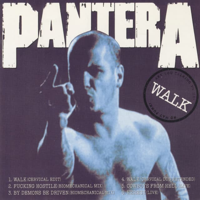 Album cover art for Walk