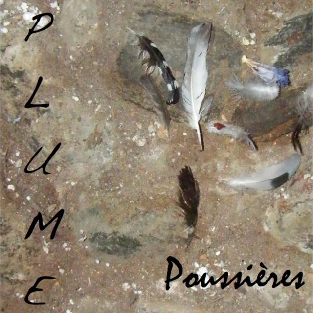 Album cover art for Poussières