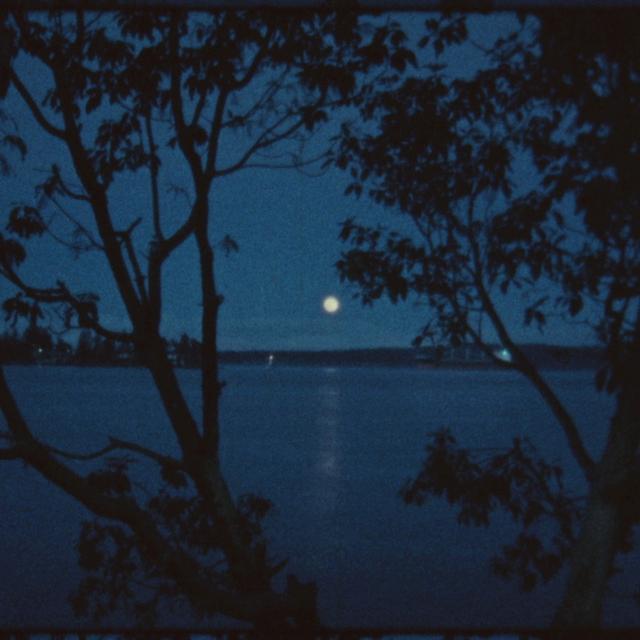 Album cover art for Blue
