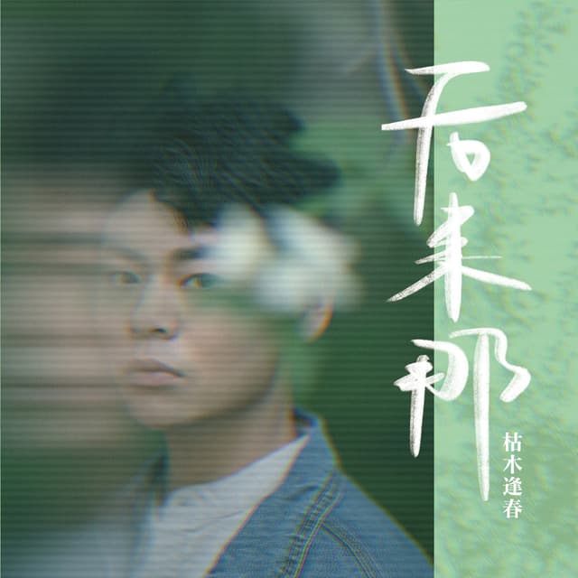 Album cover art for 后来那