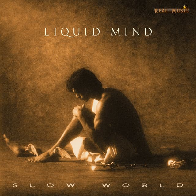 Album cover art for Slow World