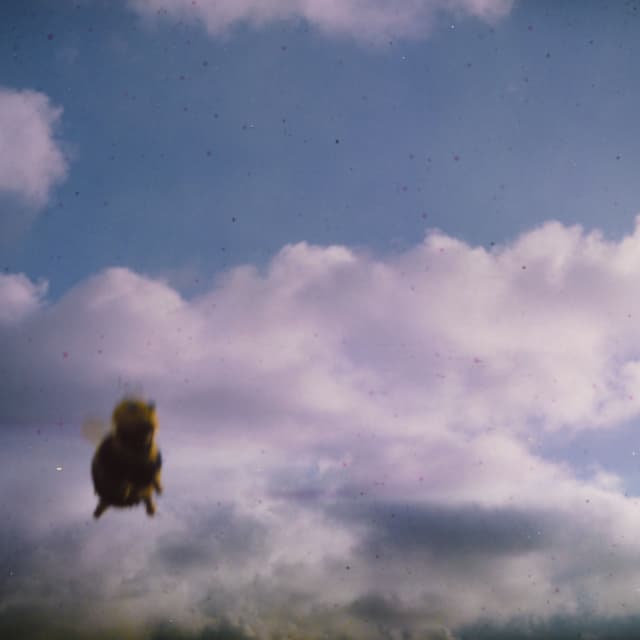 Album cover art for Stung!