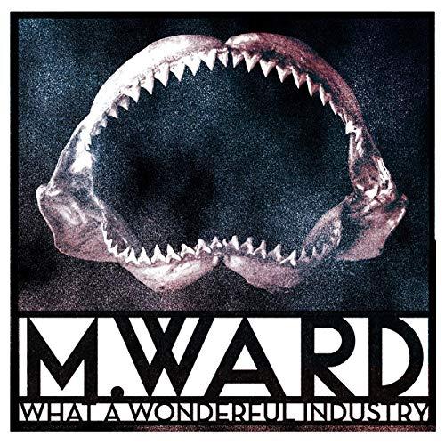 Album cover art for What a Wonderful Industry