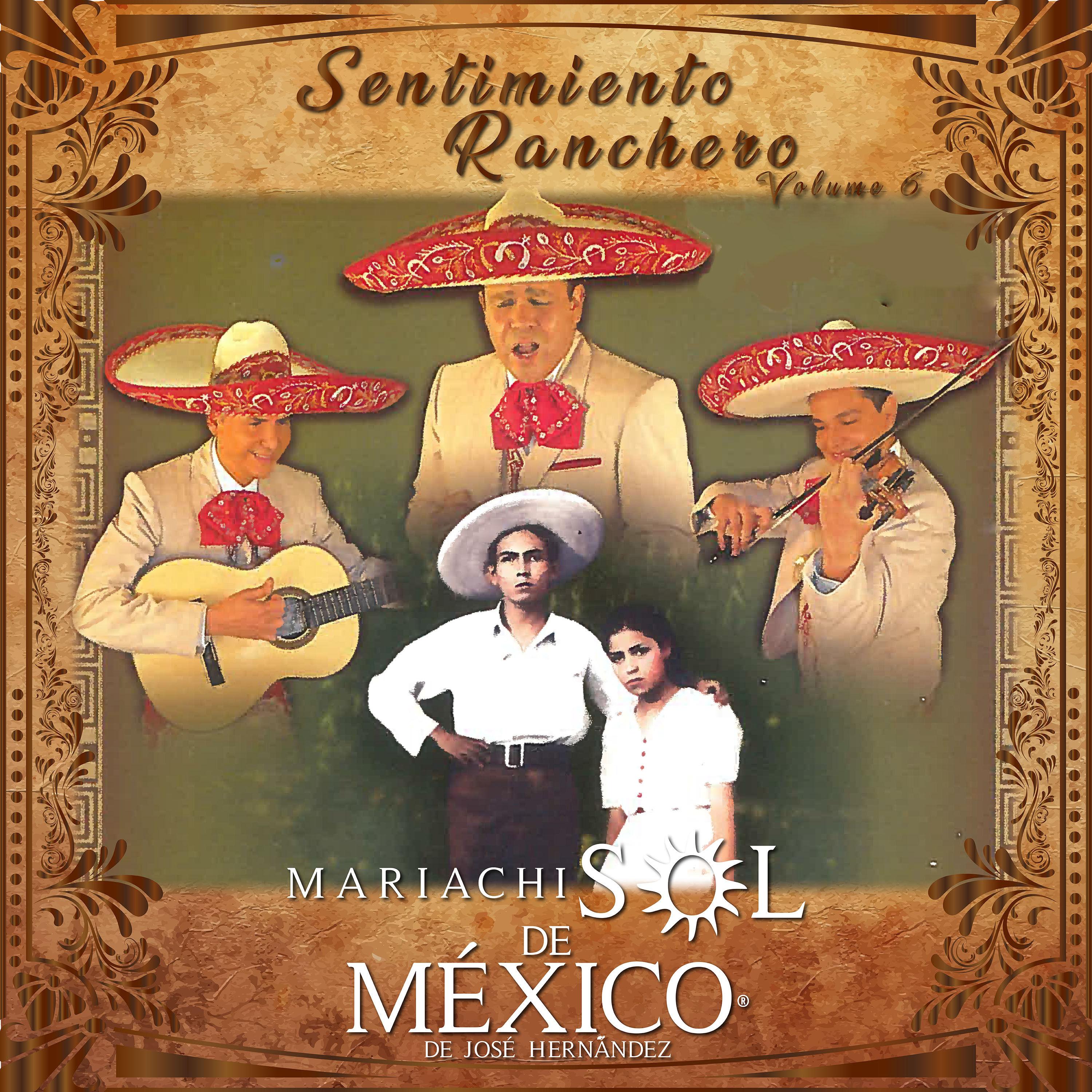 Sentimiento Ranchero, Vol. 6