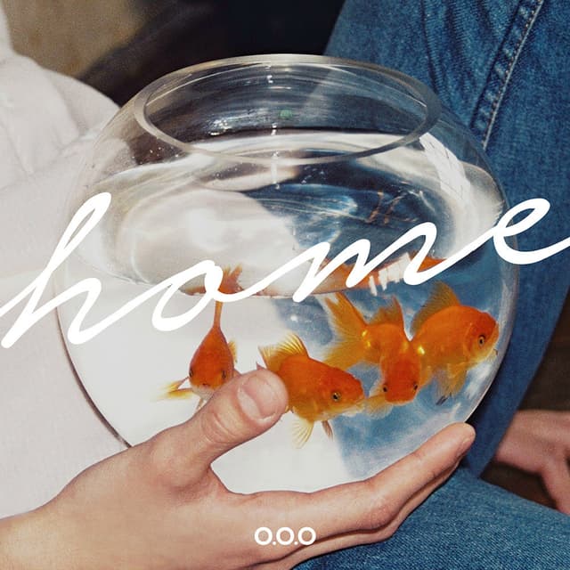 Album cover art for HOME