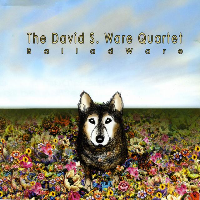 Album cover art for BalladWare