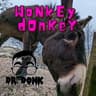 Wonkey Donkey