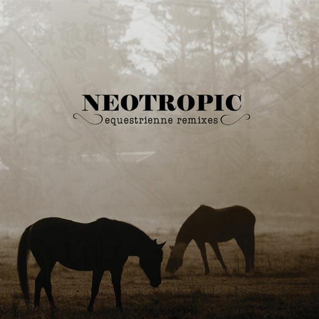 Album cover art for Equestrienne (remixes)