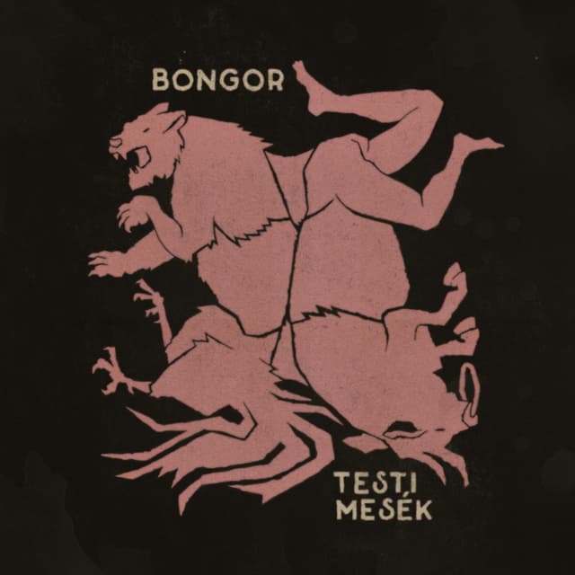 Album cover art for Testi Mesék
