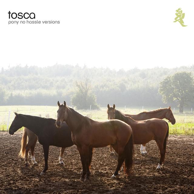 Album cover art for Pony - No Hassle Versions