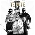 Album cover art for Te Boté II