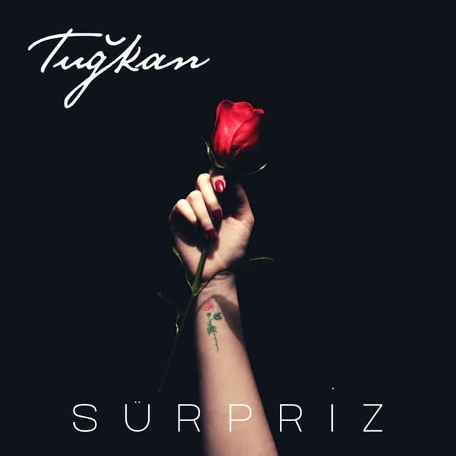 Album cover art for Sürpriz