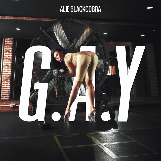 Album cover art for G.A.Y