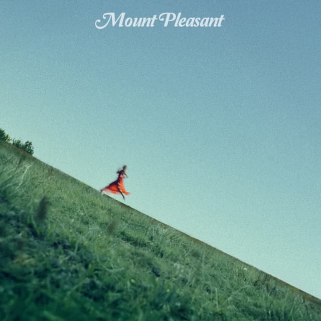 Album cover art for Mount Pleasant