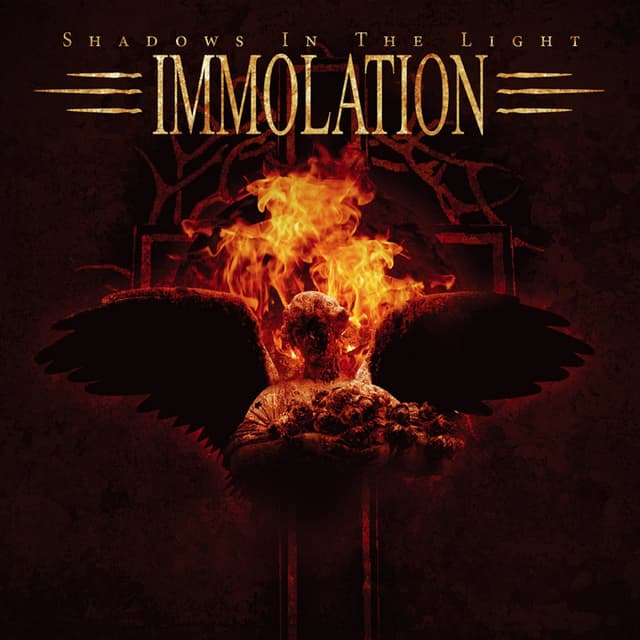 Album cover art for Shadows in the Light