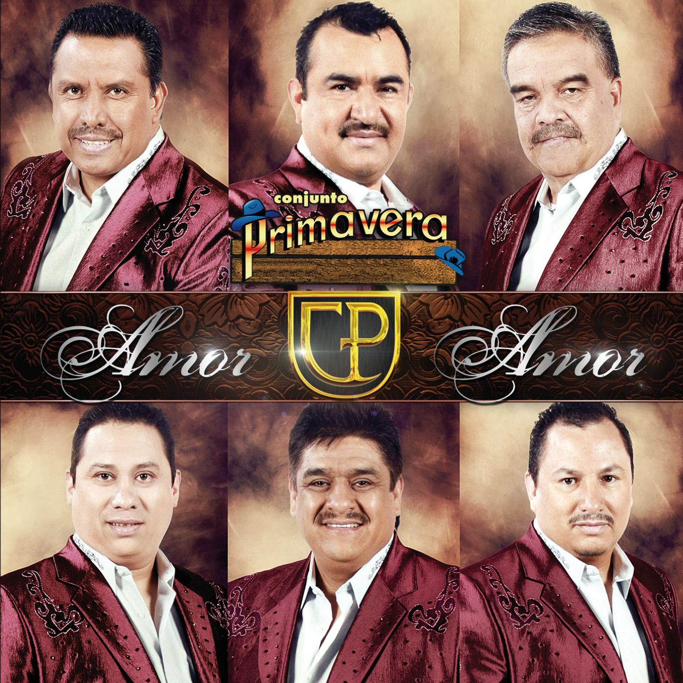 Amor Amor