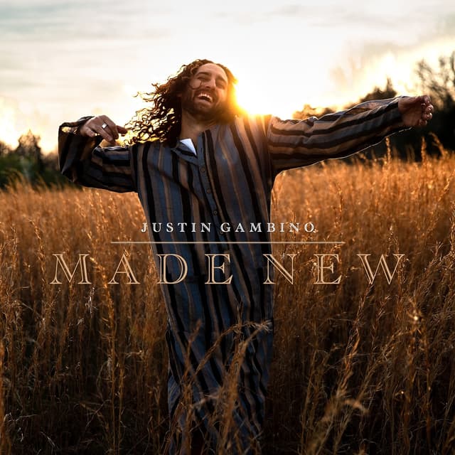 Album cover art for Made New