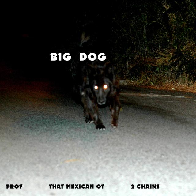 Album cover art for Big Dog