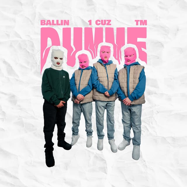 Album cover art for Dumme Kids