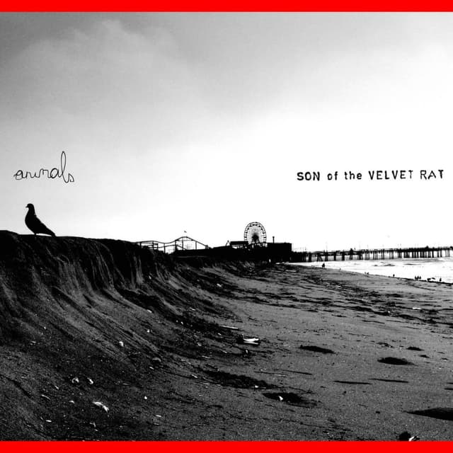Album cover art for Animals
