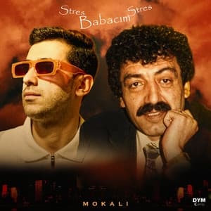 Album cover art for Stres Babacım Stres
