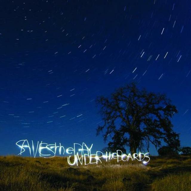 Album cover art for Under The Boards