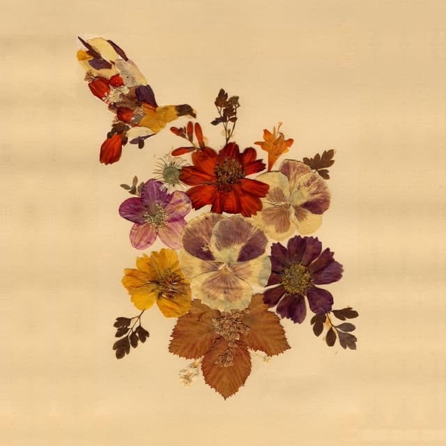 Album cover art for Concubine Rice