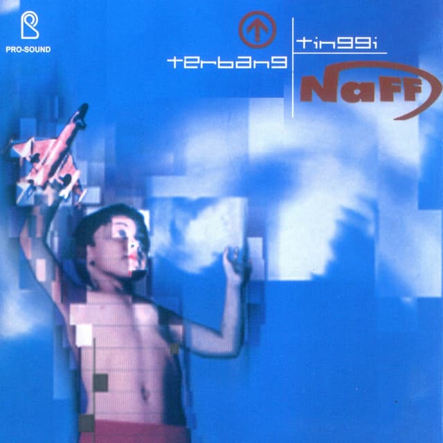 Album cover art for Terbang Tinggi