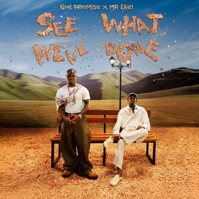 Album cover art for See What We've Done