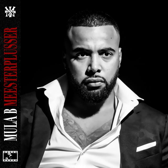 Album cover art for Meesterplusser