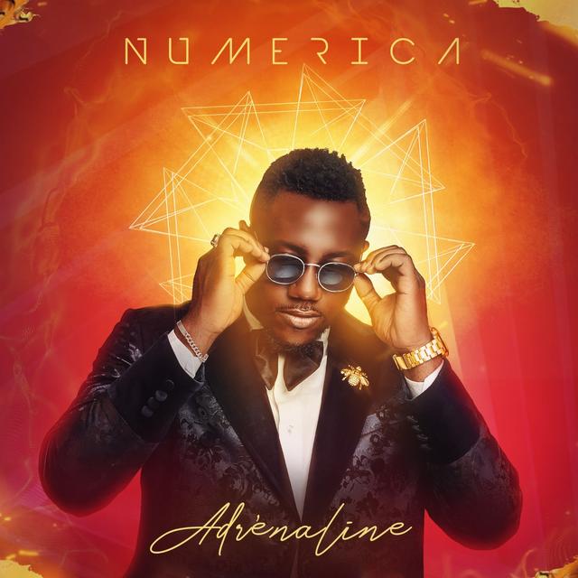 Album cover art for Adrénaline