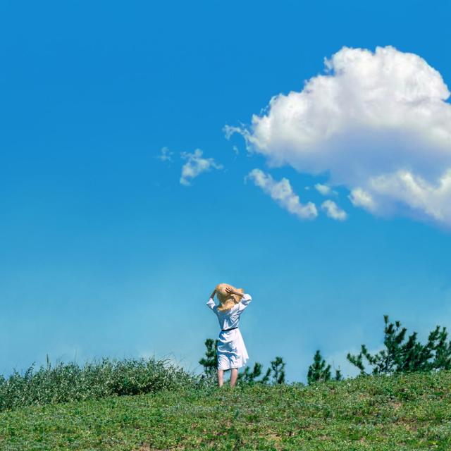 Album cover art for 手紙