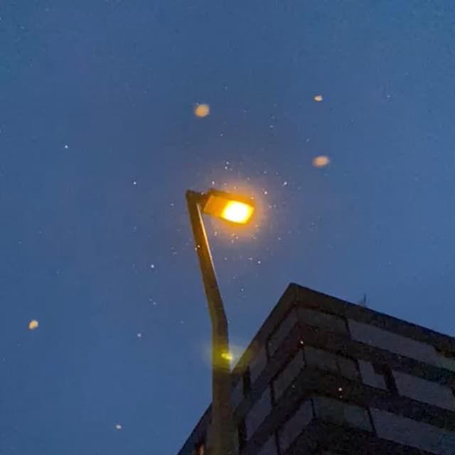 Album cover art for Letter