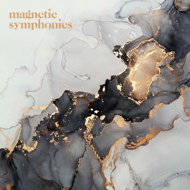 Album cover art for Magnetic Symphonies