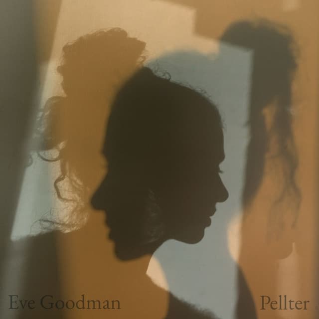 Album cover art for Pellter