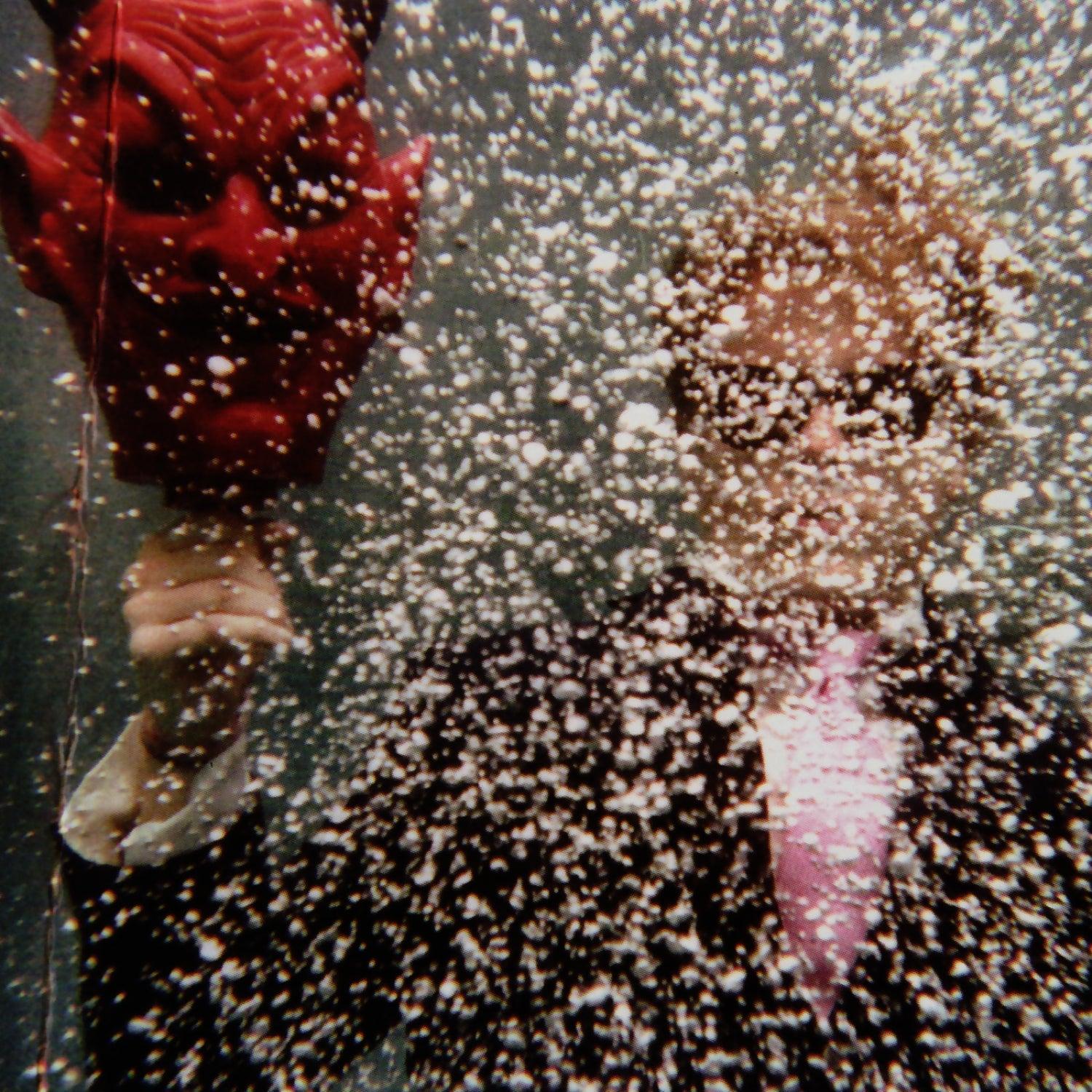 Ty Segall