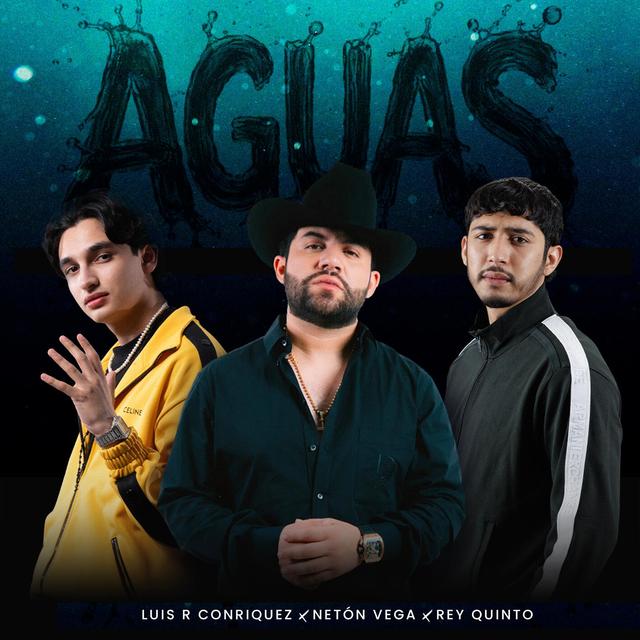 Album cover art for Aguas