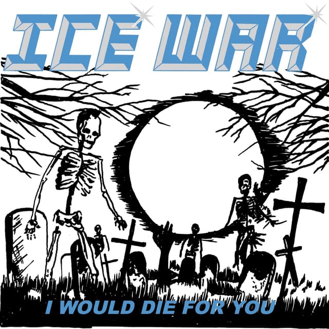 Album cover art for I Would Die for You