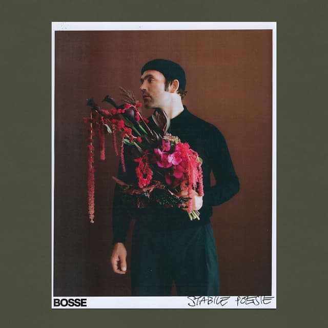Album cover art for Stabile Poesie
