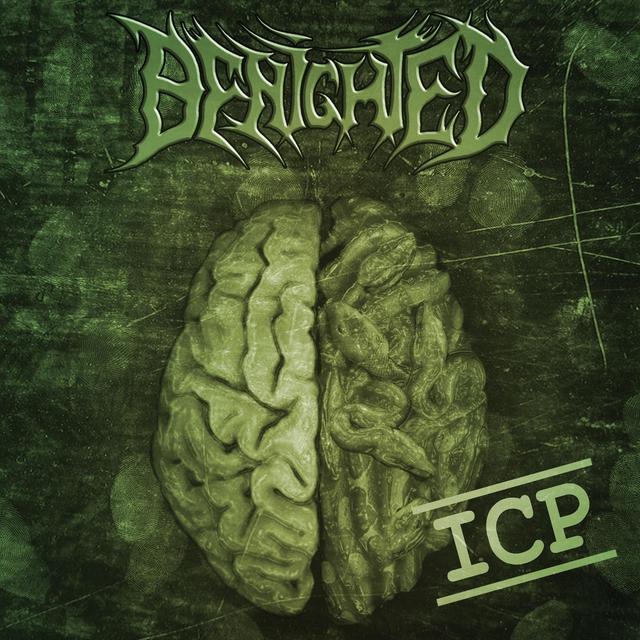 Album cover art for Insane Cephalic Production