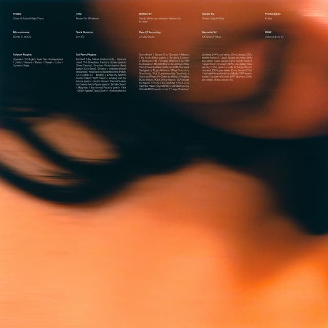 Album cover art for Down For Whatever